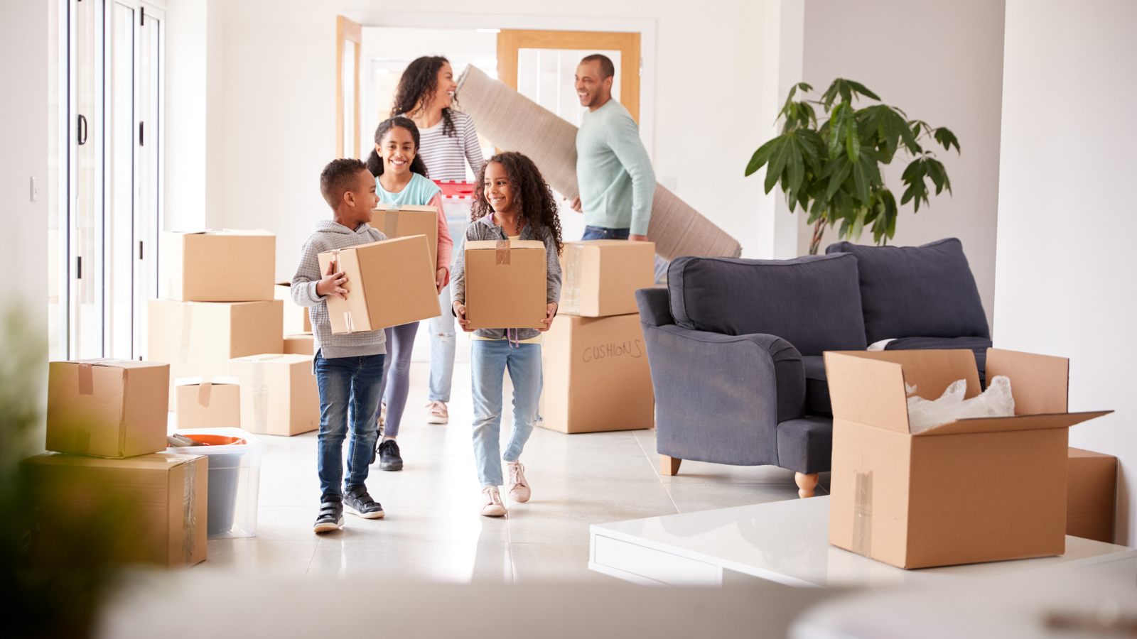 Derecho Inmobiliario