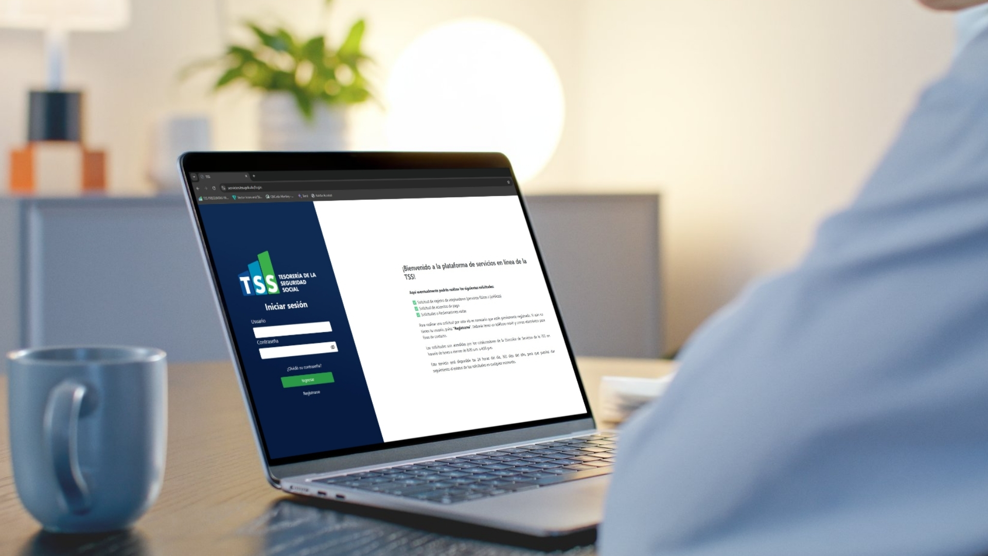 Registro de empleadores ante la TSS